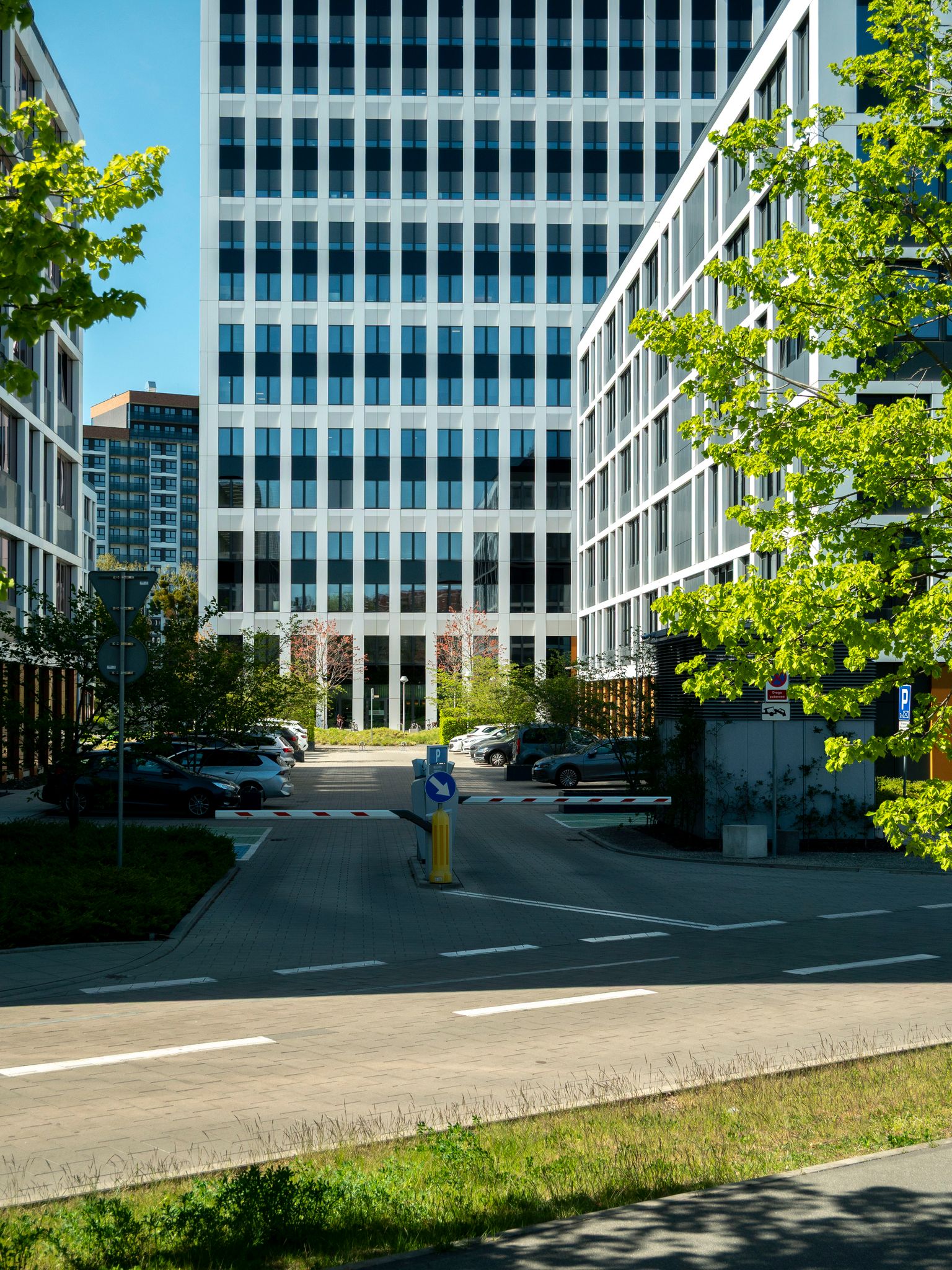 Contemporary architecture with green trees lining the street in Wrocław, Poland.