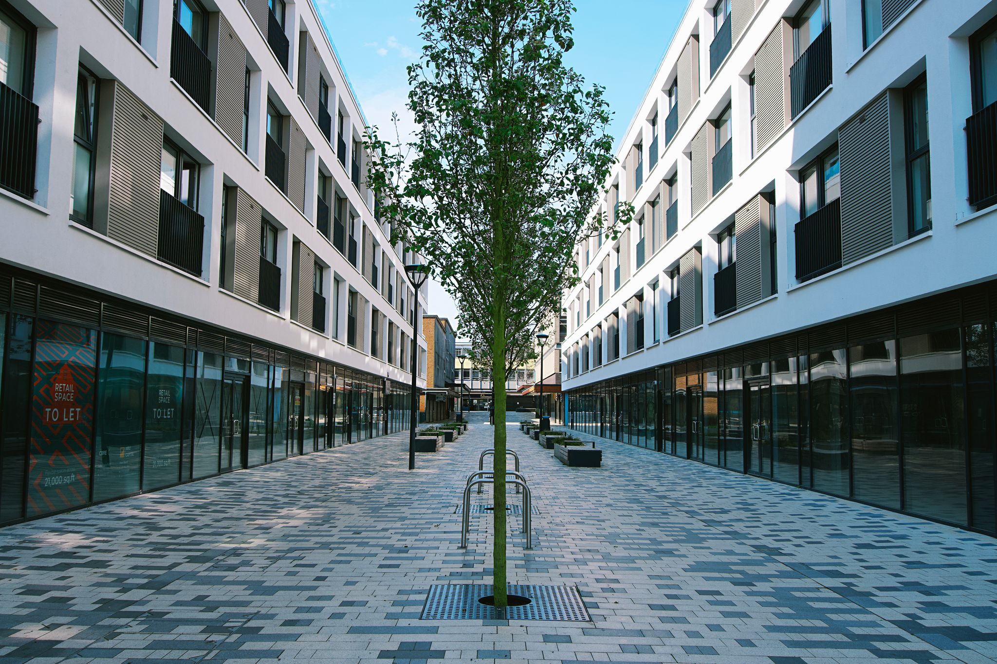 Contemporary street view of modern buildings with tree, UK.