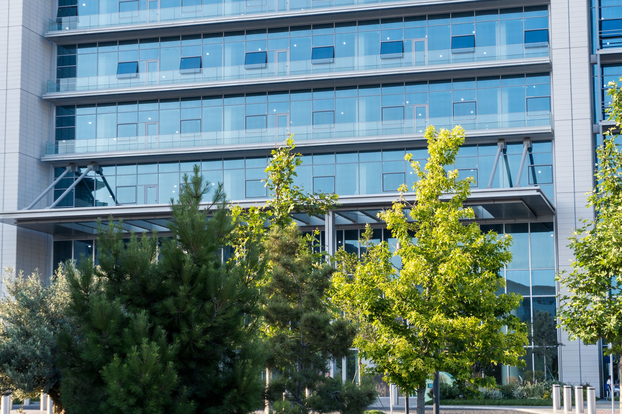 Exterior of a glass office building with lush greenery, capturing urban nature blend.